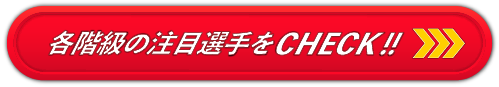 階級別王者一覧と試合情報