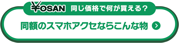 同じ価格で何が買える?同額のスマホアクセならこんな物