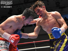 �{�f�B���W�P