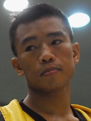 ���C�h �n���f���T