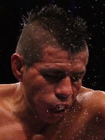 �t�@�� �A���g�j�I ���h���Q�X