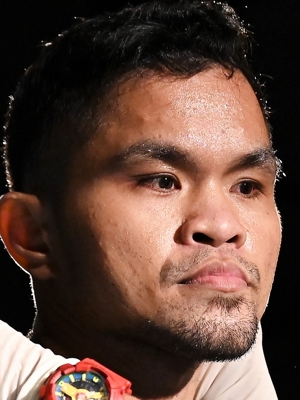 �A���r�� ���f�����iAlvin Medura�j�I����