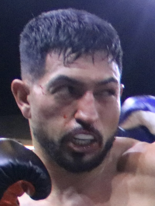 �u���C�A�� �����h�[�T