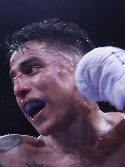 �P�r�� �S���T���X