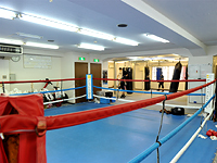 ���h�{�N�V���O�W��