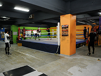 �����q�����W��