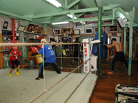 ���c�W��