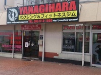 YANAGIHARA�W��