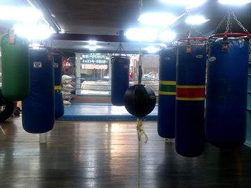 ���h�D�y�ԍ�W��