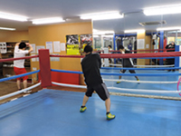 スパイダー根本ジム