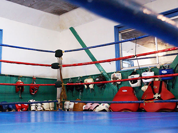 ����������