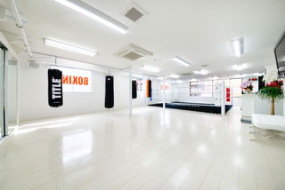 �p���`�A�E�g�{�N�V���O�W��