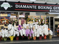 �f�B�A�}���e�{�N�V���O�W��