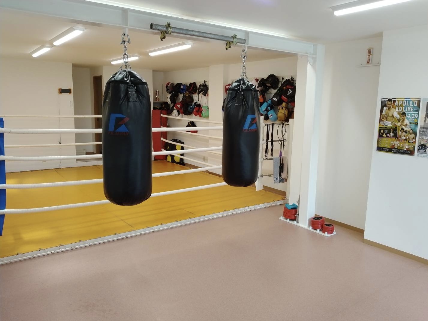 �v�ۃ{�N�V���O�W��