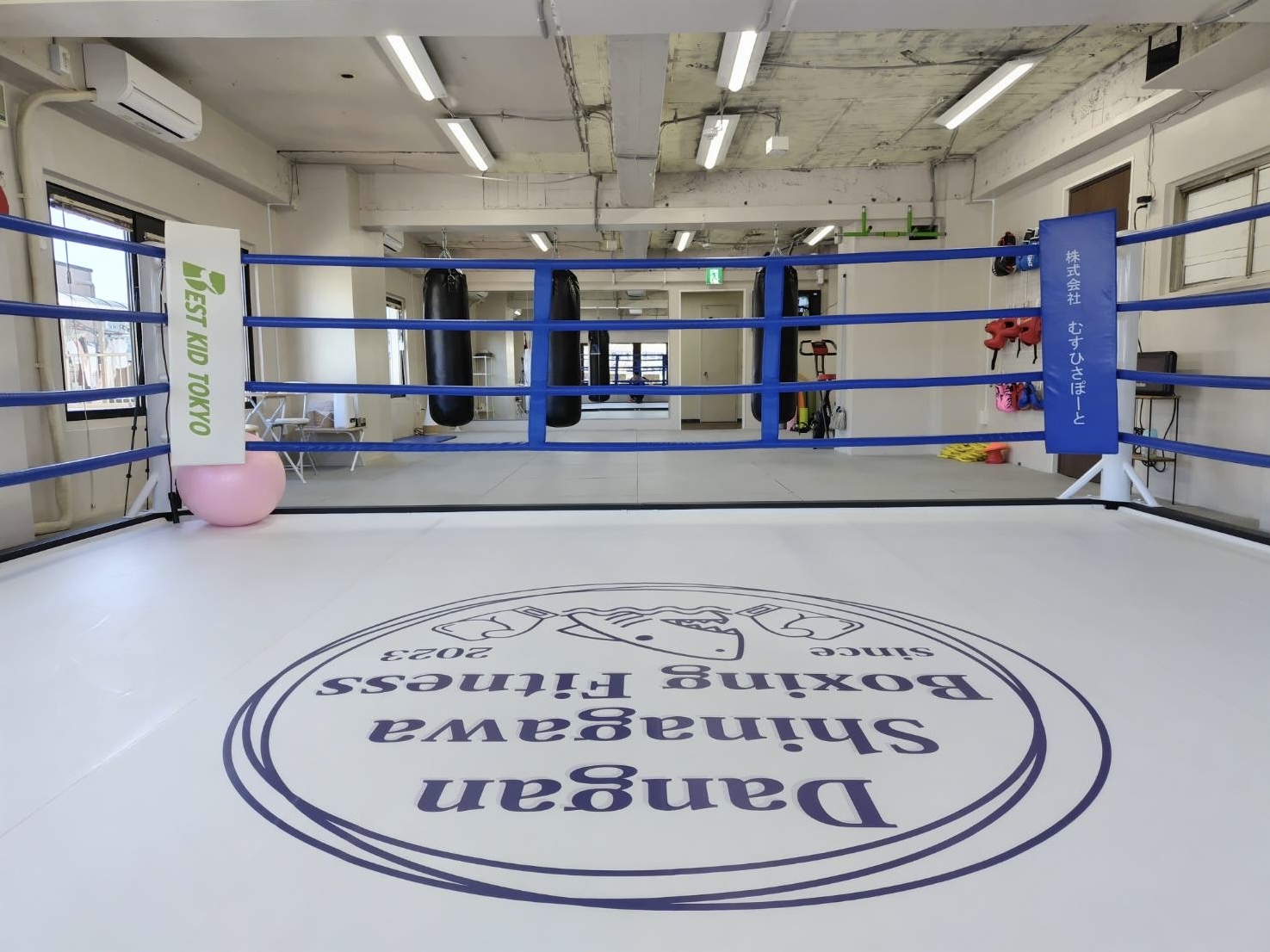 Dangan�i��{�N�V���O�t�B�b�g�l�X