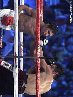 �p�b�L���IVS�}���K���[�g