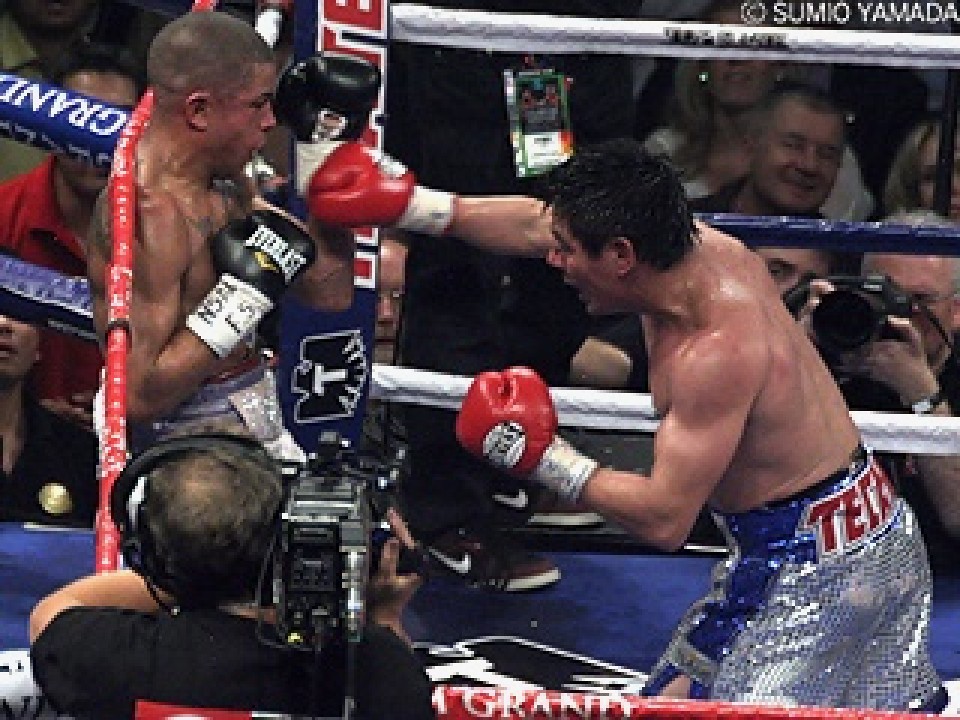 �o�X�P�X�E�W���j�A(��) �A���Z(�E)