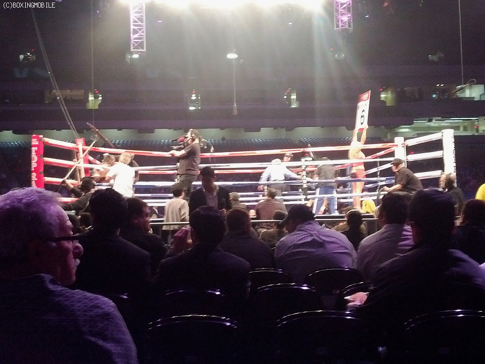 �������̃A�����h�[��