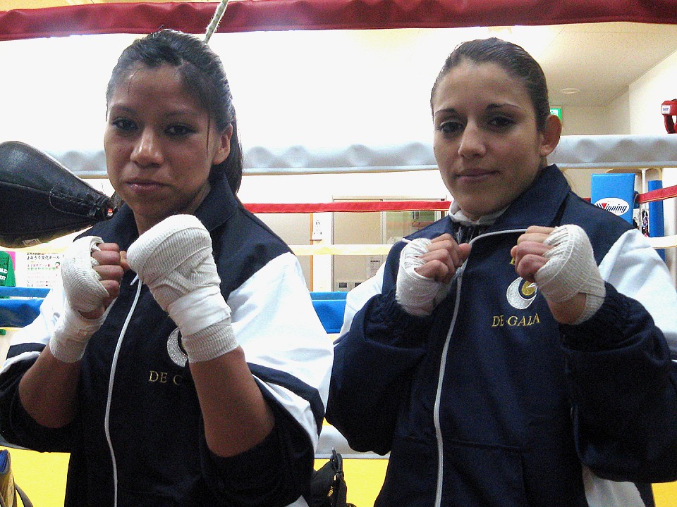 �ΏƓI�ȗ������