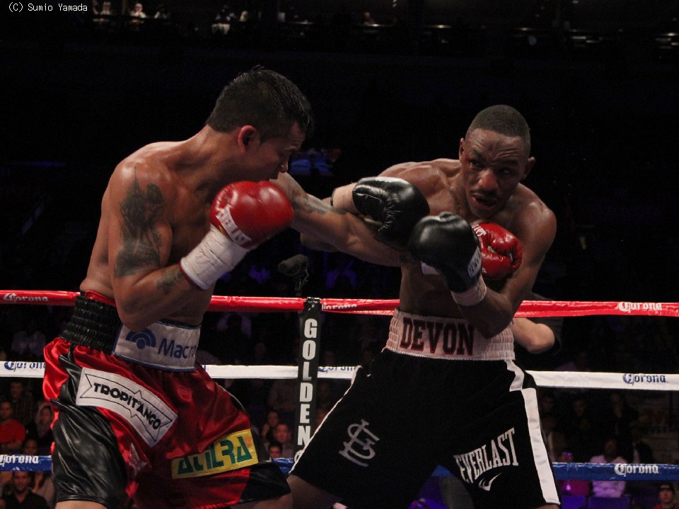 �f�{���E�A���N�T���_�[vs�}���R�X�E�}�C�_�i