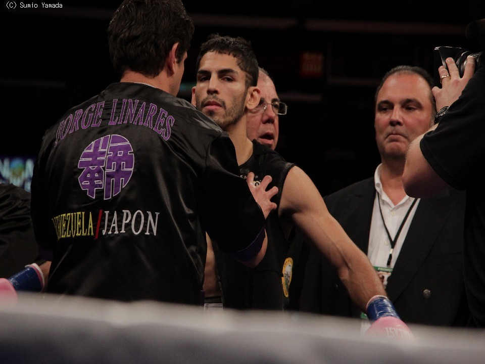 �z���w�E���i���X