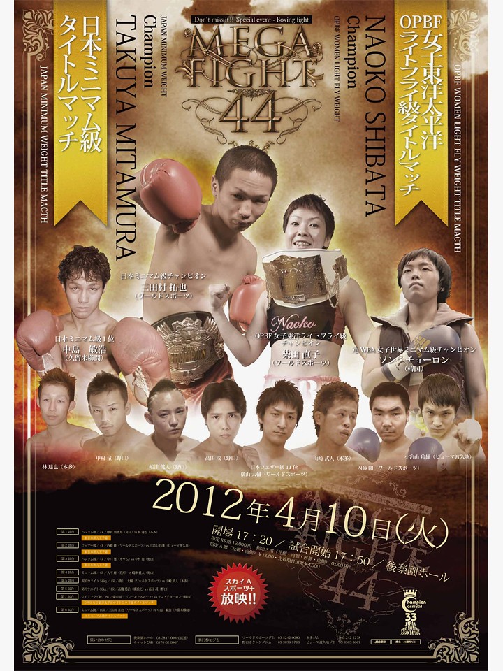 Mega Fight�ŉ�����!?