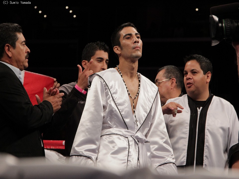 �A���g�j�I�E�f�}���R