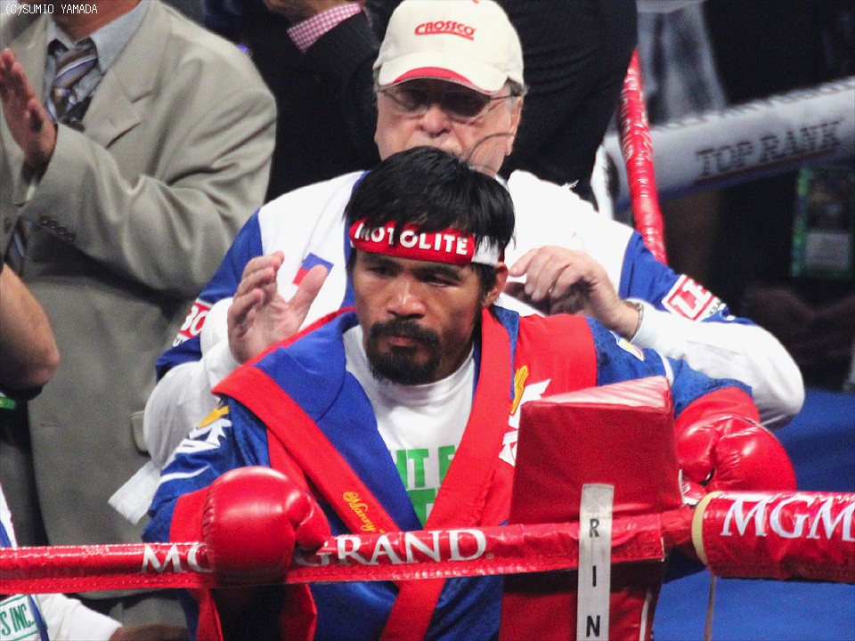 �p�b�L���I�̃����O�C��