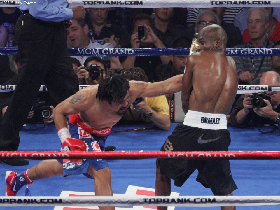 WBO������������Č���