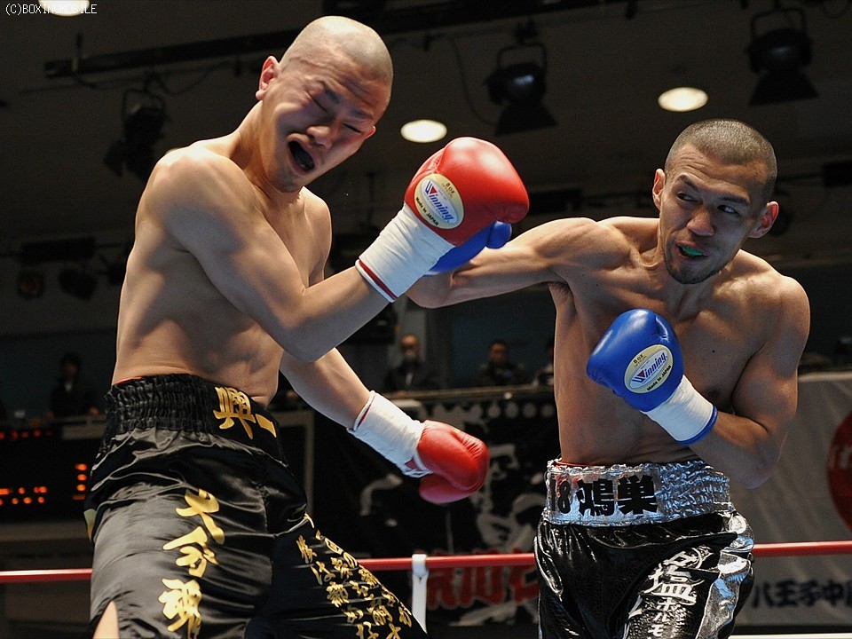 ���V�A�΂��͉̂���!!