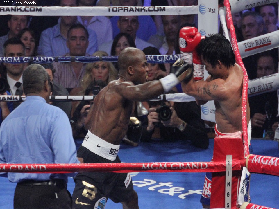 �u���b�h���[(��)