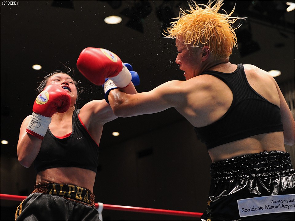 ���q�ɐV���ȗ��j