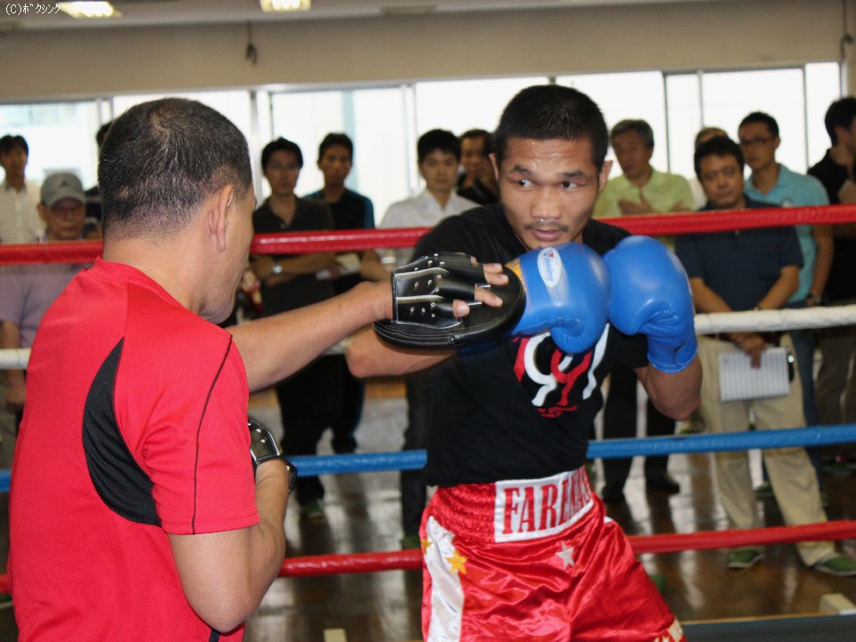 �}�C�P���E�t�@���X