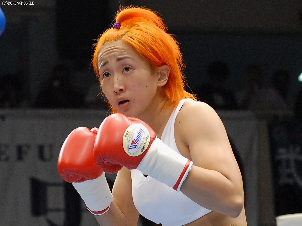 ��������̓��{����