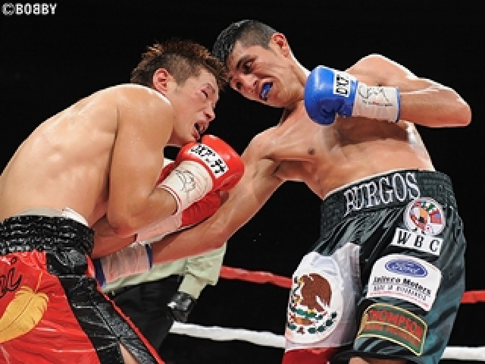 �t�@���E�J�����X�E�u���S�X(�E)