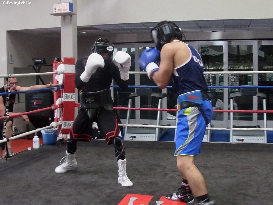 �h�l�A�A�g���[�j���O�͏���