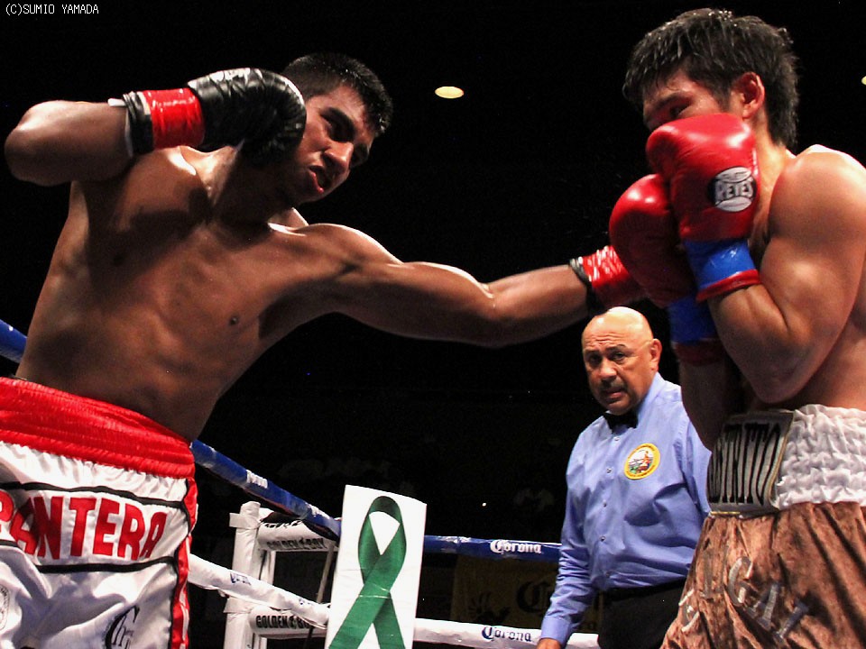 左:シルバ 右:亀海