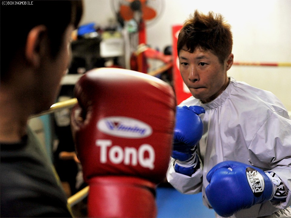 �����̌��J���K