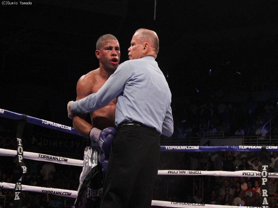 �t�@���E�}�k�G���E���y�X