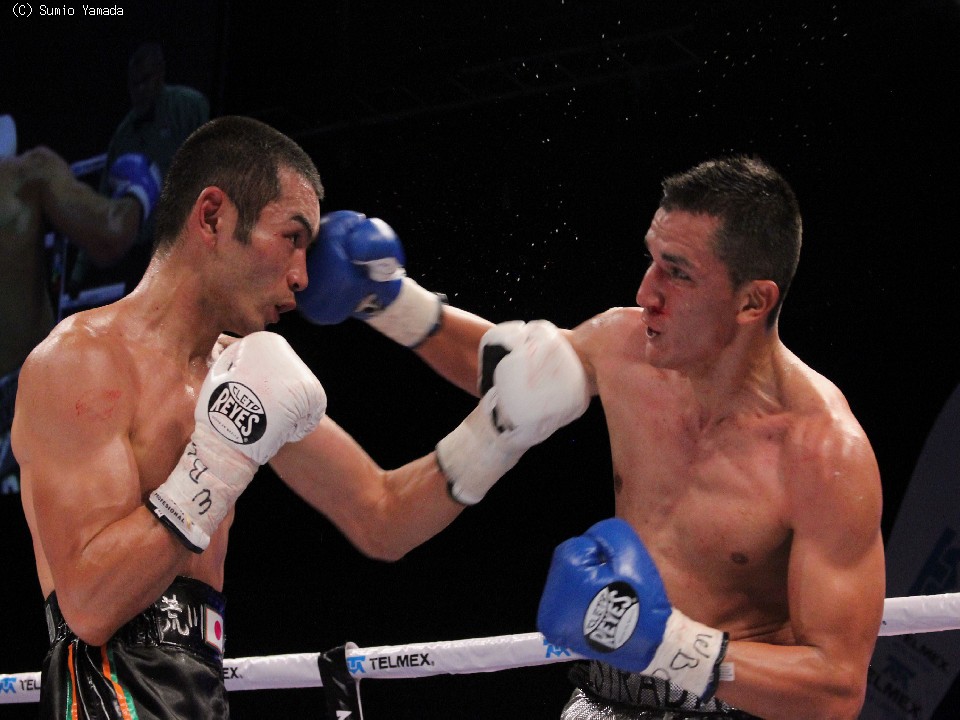 �r��VS�G�X�g���_