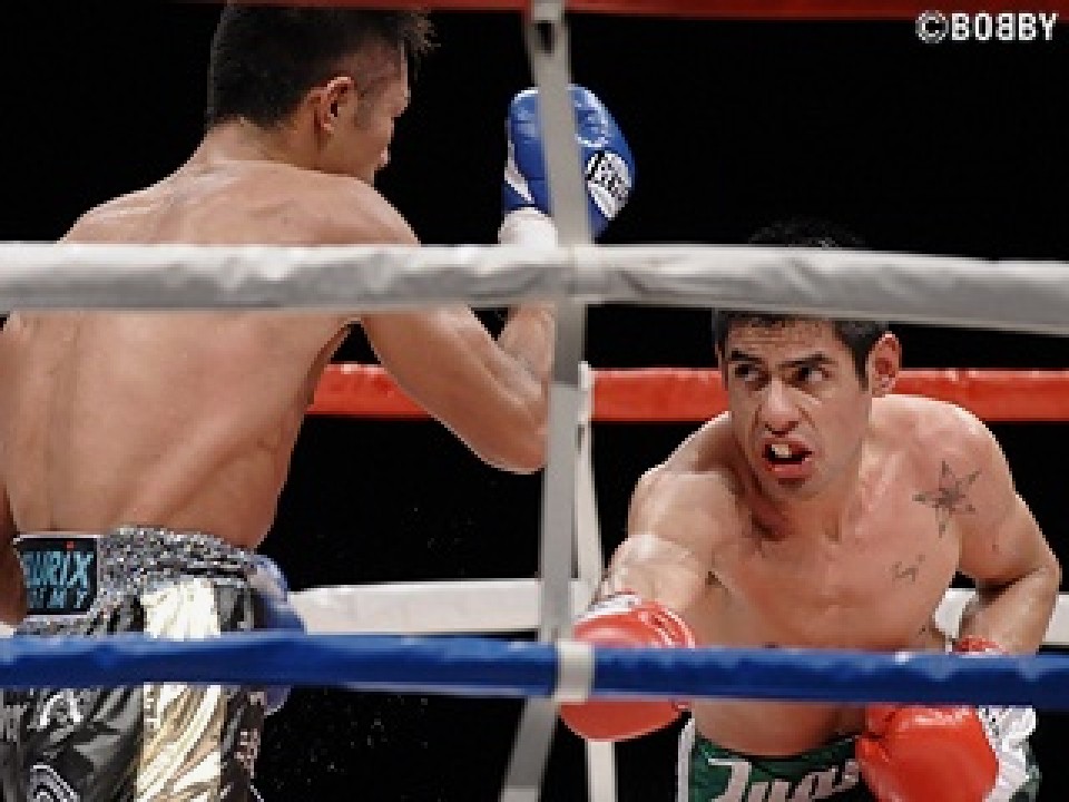 �t�@���E�J�����X�E�T���K�h