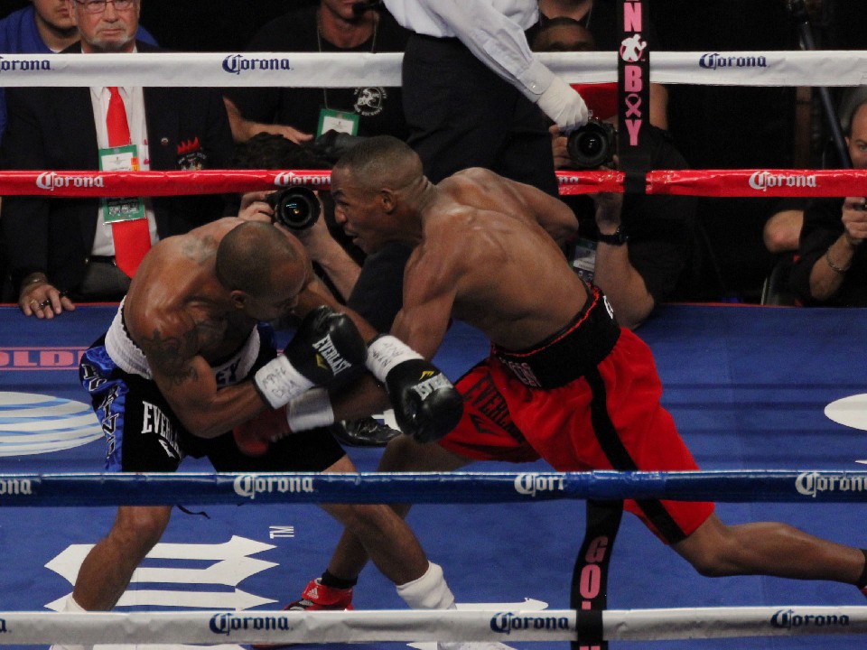 �f�{���E�A���N�T���_�[(�E)