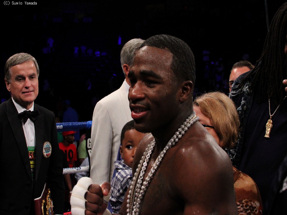 ���h�q�̑ΐ푊�肪���܂����u���[�i�[