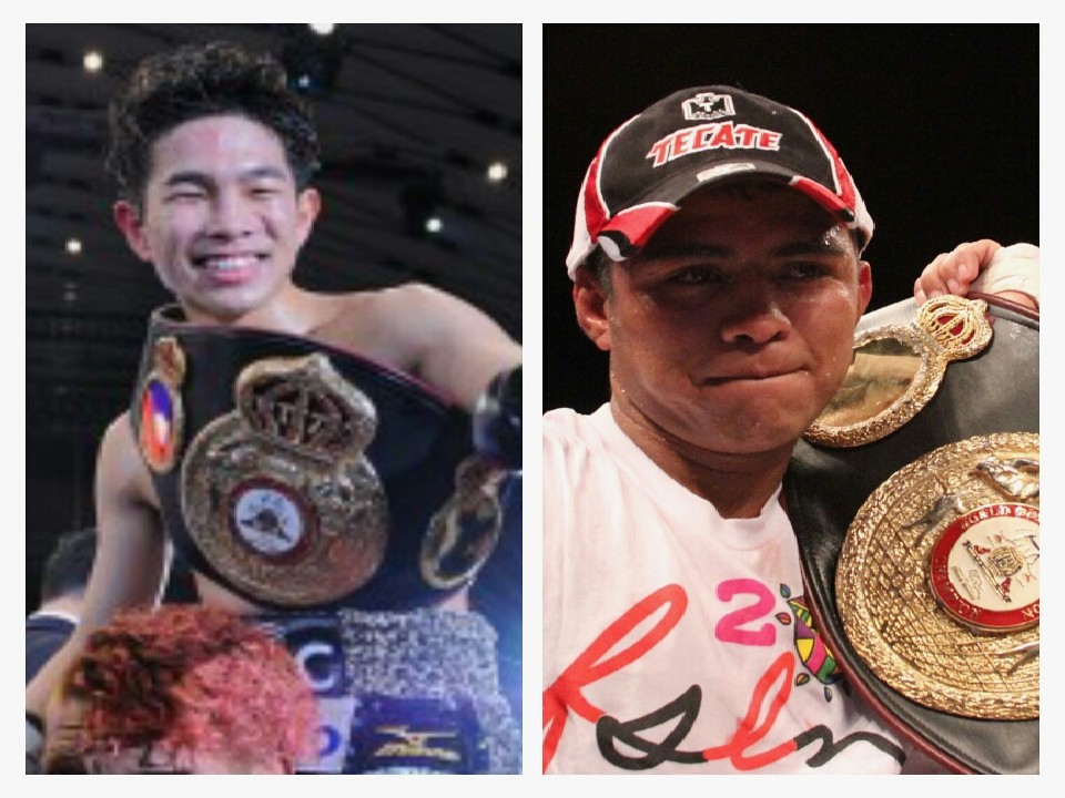 WBA����ΐ�w��