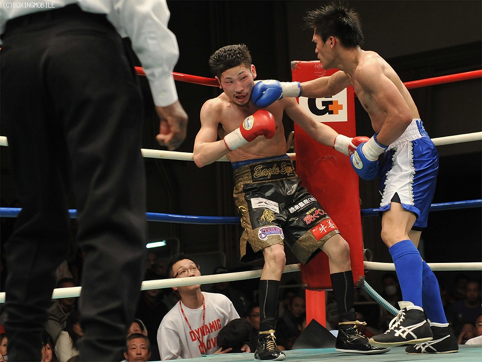 �ł����܂��⍲