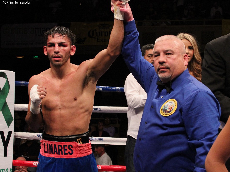 �z���w�E���i���X