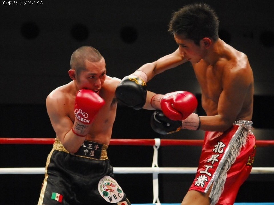 ���É��őΌ�