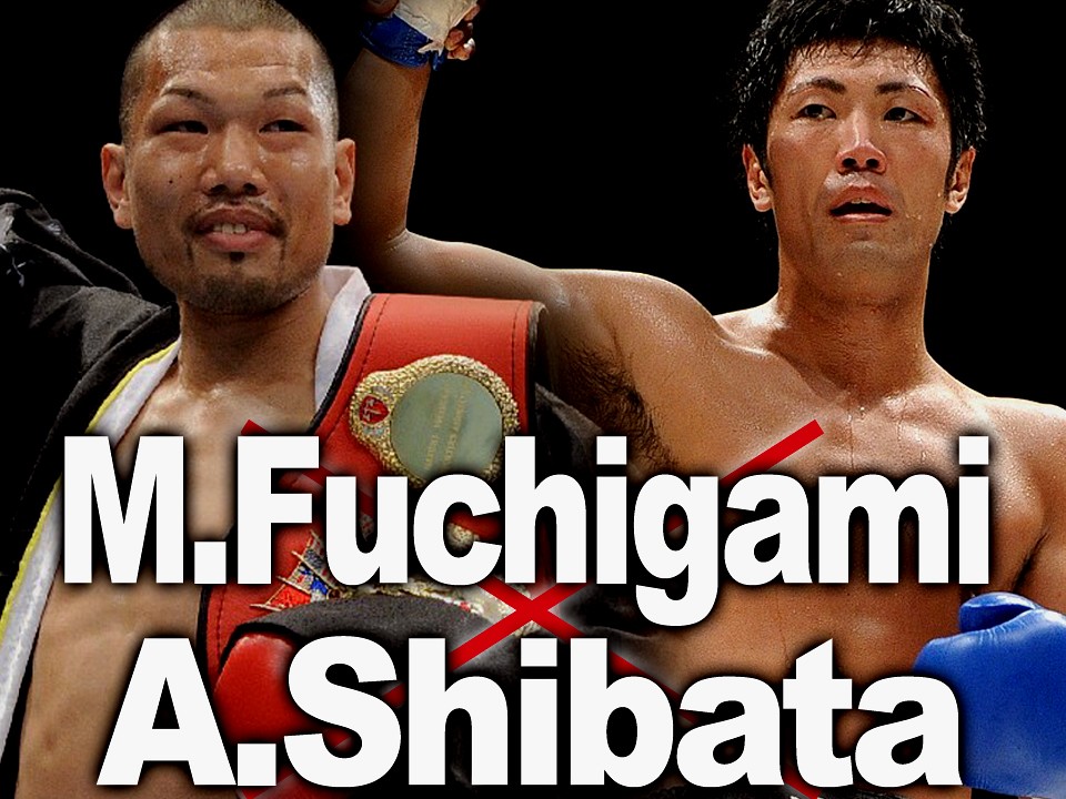 ����VS�ēc�ɒ���