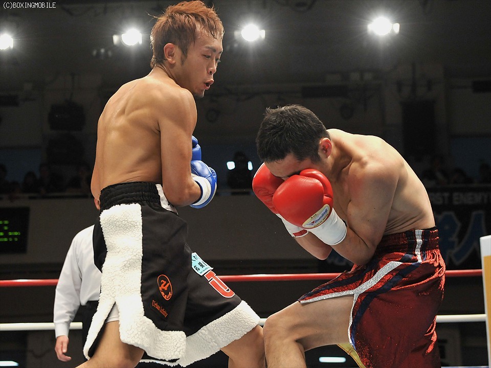 �Ŗ�A����������