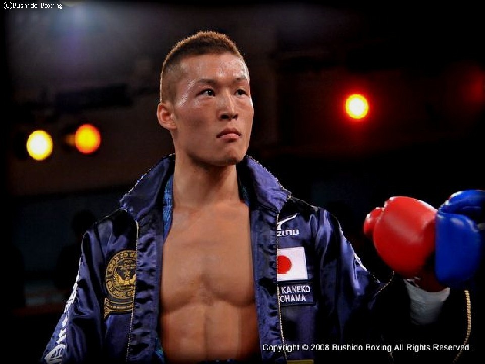 ���q�u�������z������v